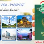 6ed894d7d8073b596216