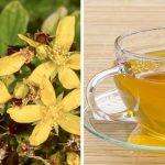 10 loại đồ uống rất tốt cho sức khoẻ ít ai biết đến