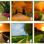 TRẮC NGHIỆM: CON ĐƯỜNG BẠN CHỌN CÓ Ý NGHĨA GÌ ĐỐI VỚI CUỘC ĐỜI BẠN?